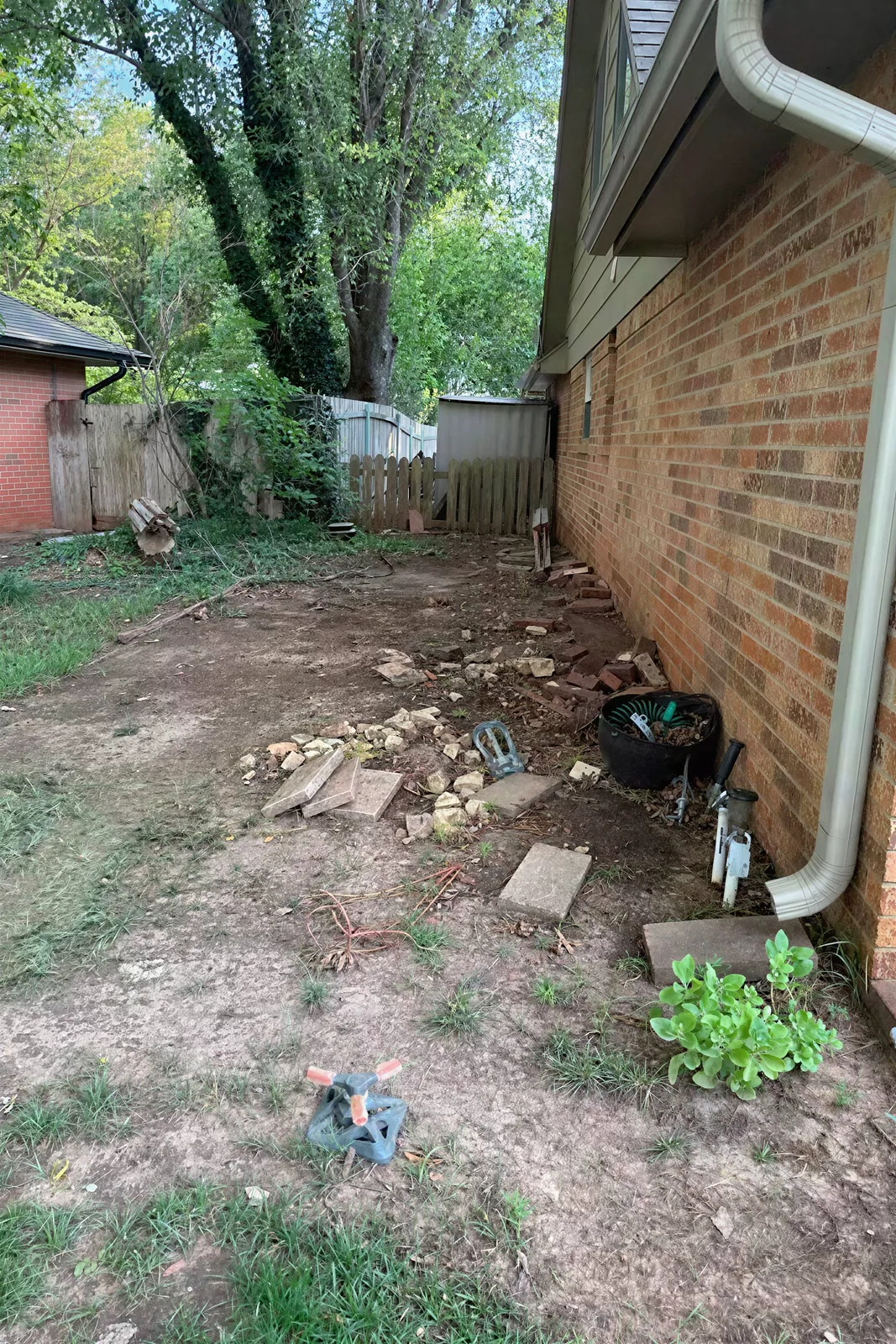 Before: the real photo of the side yard cleanup